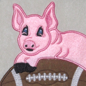 FOOTBALL  ARE YOU READY FOR SOME PIGSKIN