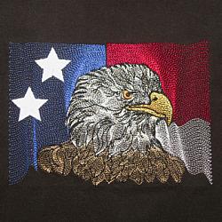 EAGLE ON USA FLAG 5X7