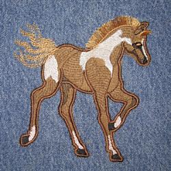 Painted Pony Applique 5X7