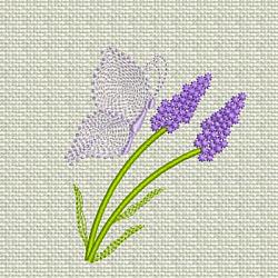 Butterfly on Lavender